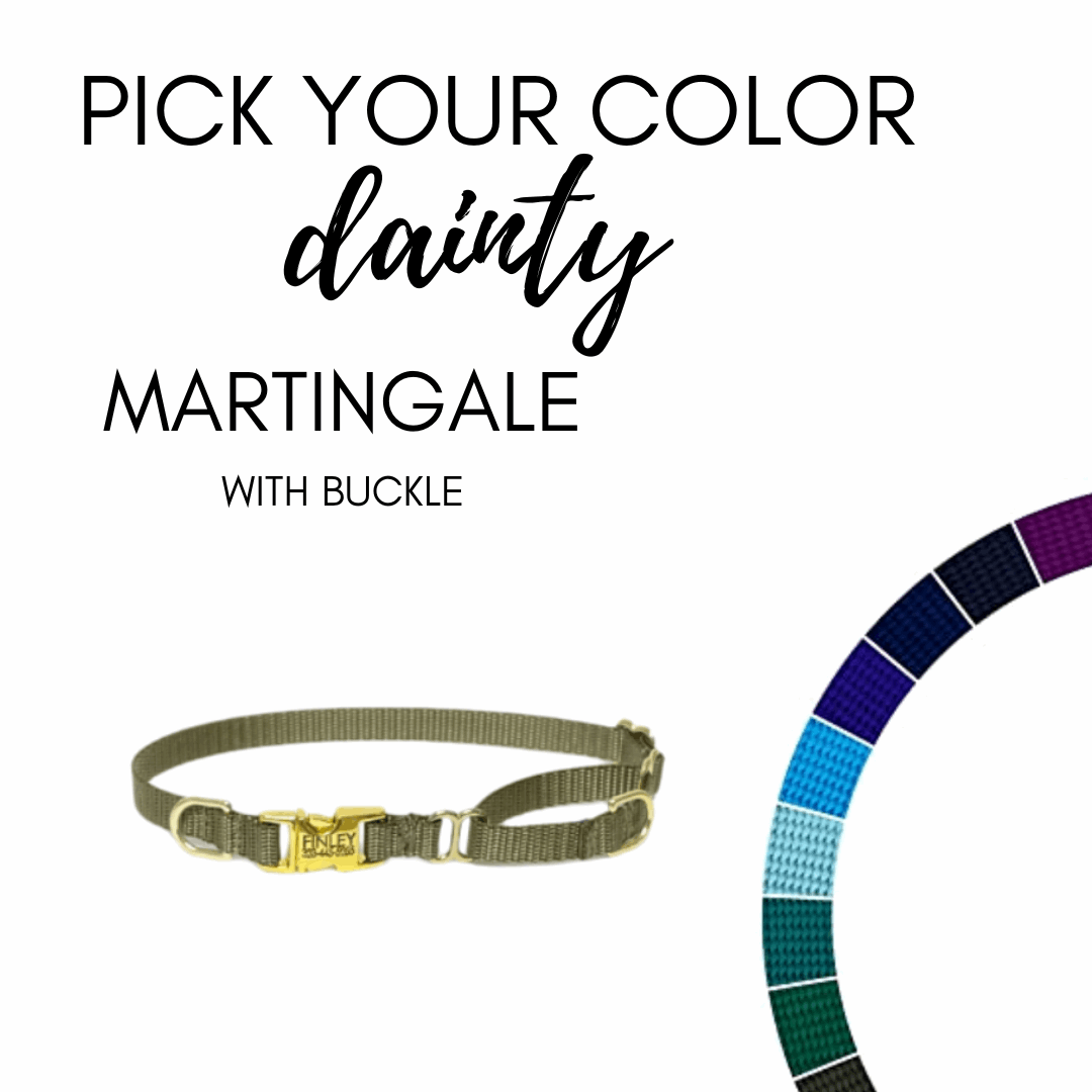 Dainty Nylon Martingale With Personalized Buckle- Pick your Color