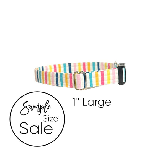 1" Summer Stripes Personalized Dog Collar