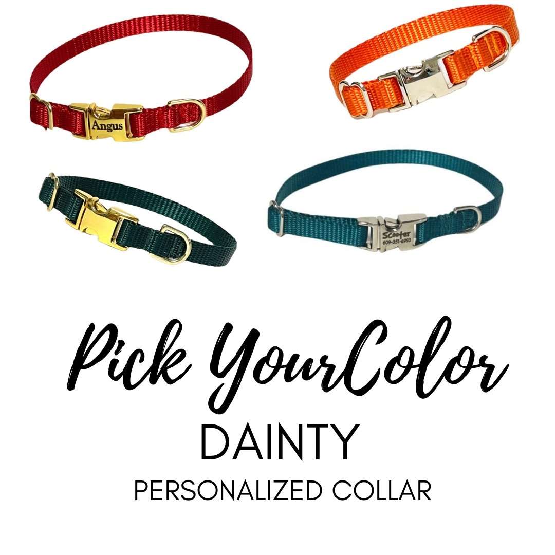 Dainty Nylon Dog Collar - Pick Your Color - muttsnbones