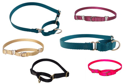 Dainty Nylon Martingale - Pick your Color - muttsnbones