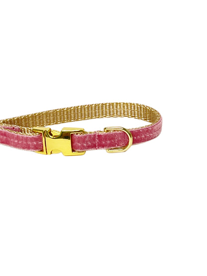 tiny thin velvet dog collar with gold buckle
