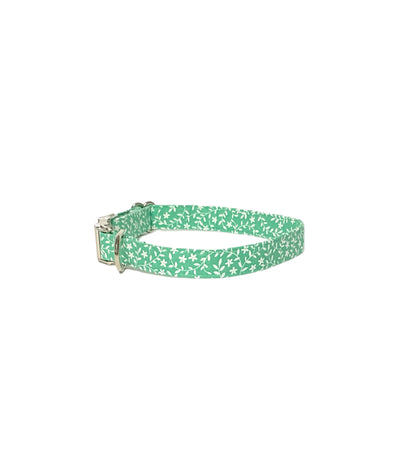 mint green personalized dog collar