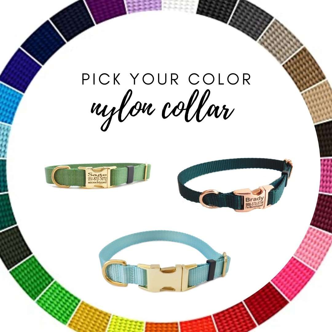 Nylon Dog Collar - Pick Your Color - muttsnbones