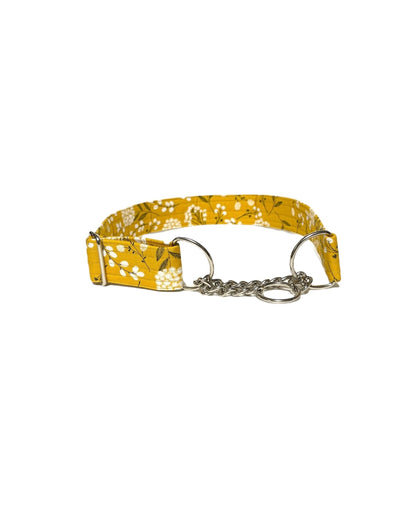 marigold yellow floral dog collar