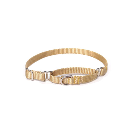 tan copper gold dainty martingale collar