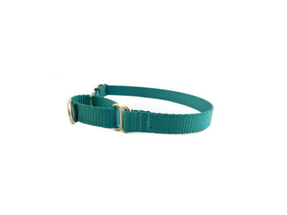 teal dainty martingale collar
