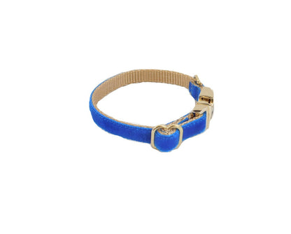 Dainty Velvet Collar in Royal Blue - muttsnbones