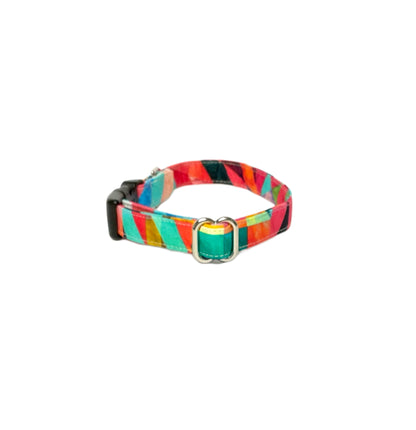 colorful art piece dog collar