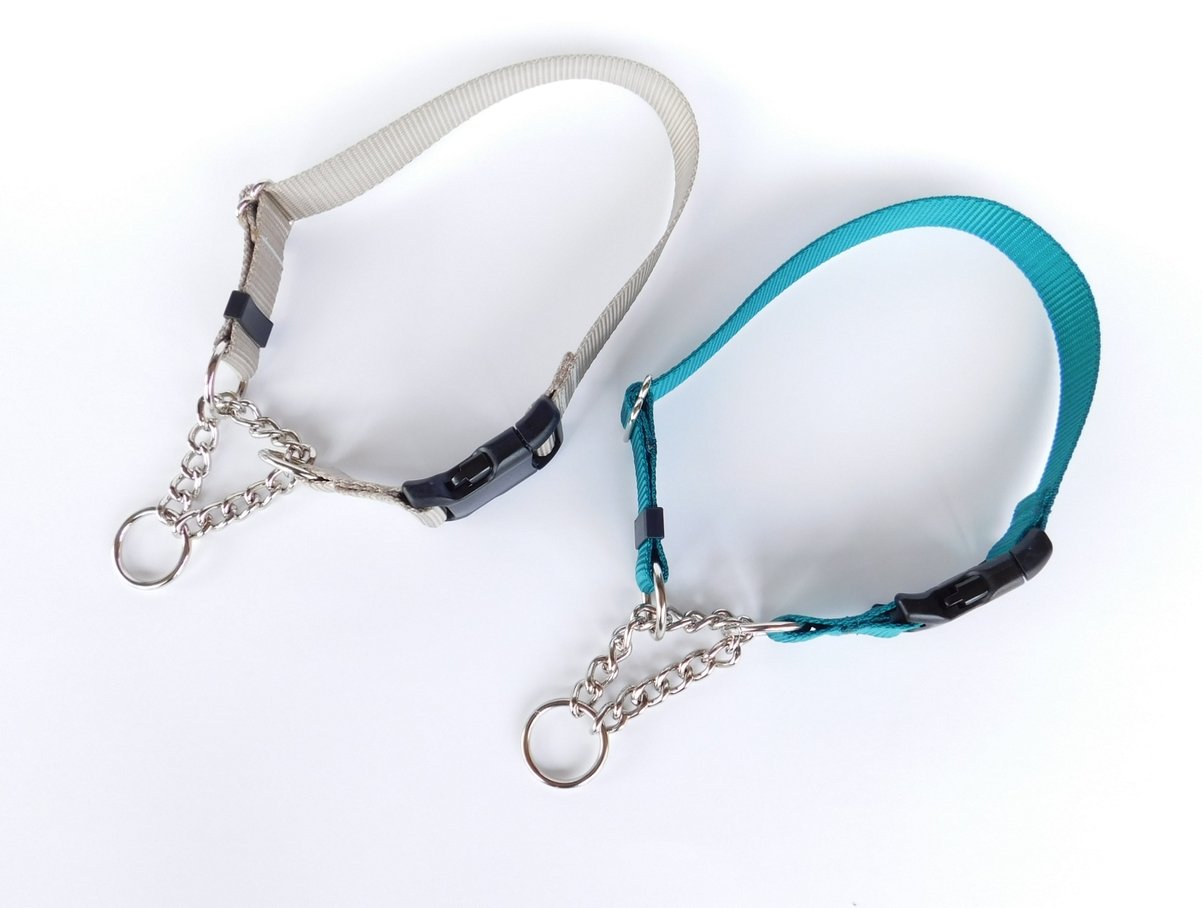 chain martingale semi choke dog collar in your color 