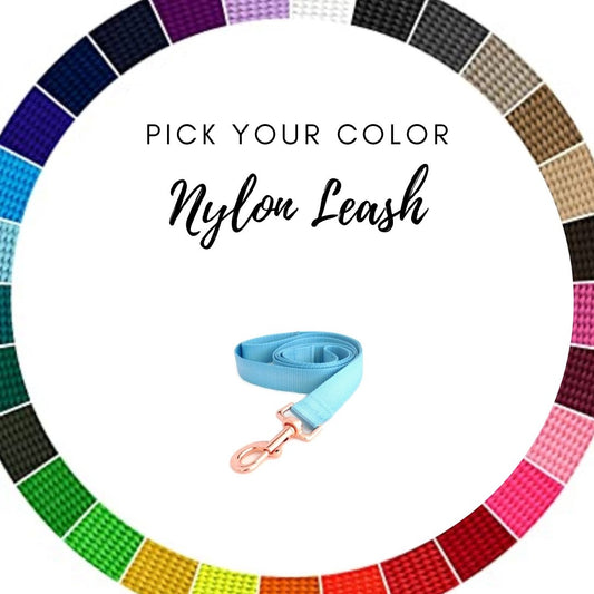 Nylon Dog Leash - Pick your Color - muttsnbones