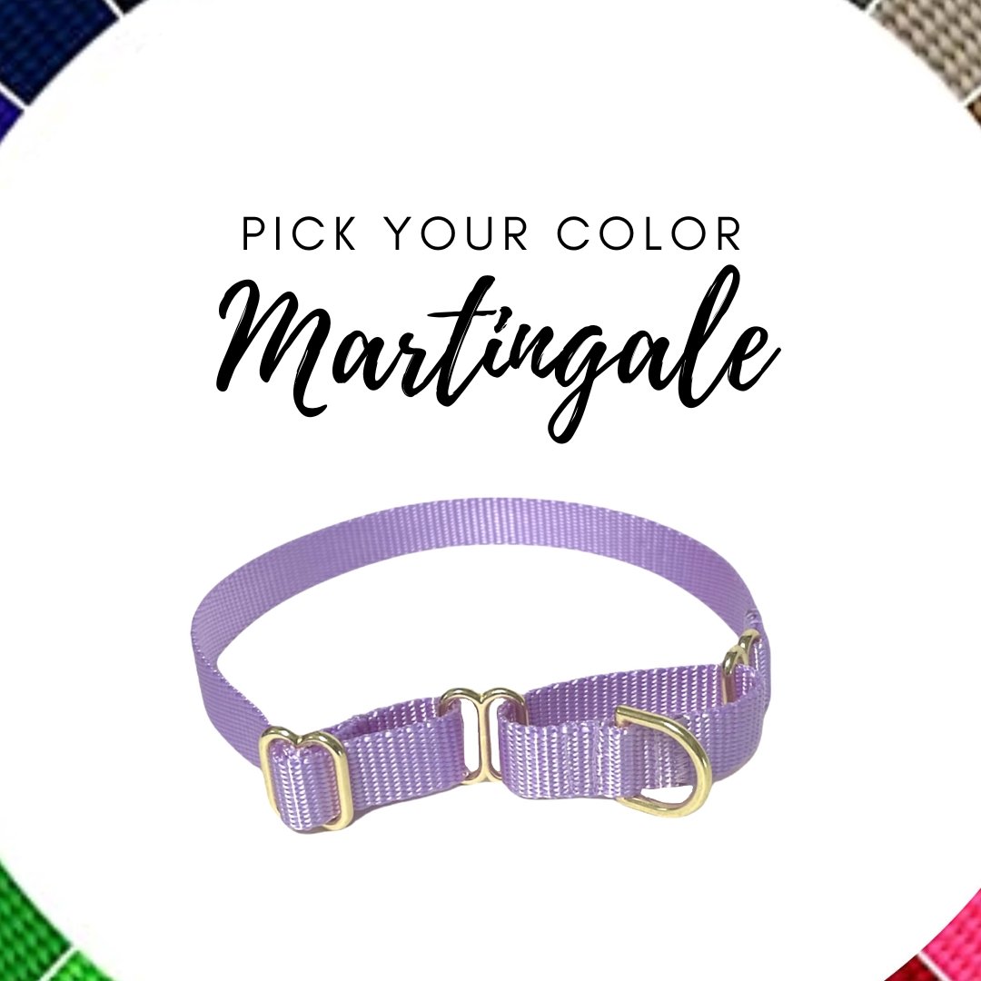 Nylon Martingale Collar - Pick Your Color - muttsnbones