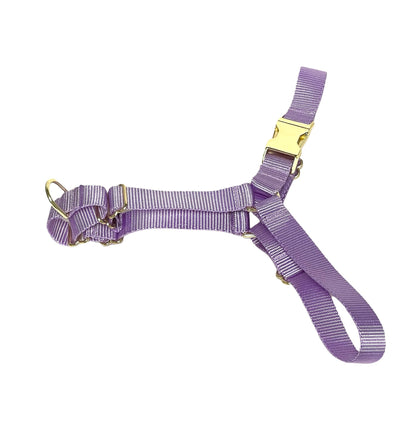 lavender violet no pull harness