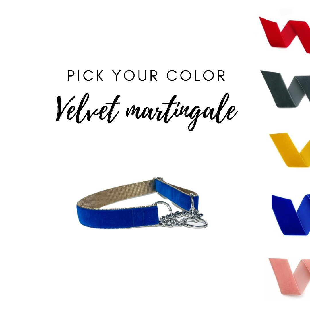 Pick Your Color - Velvet Martingale Dog Collar - muttsnbones