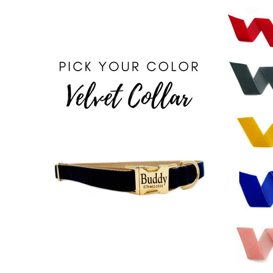 Pick Your Color - Velvet Personalized Dog Collar - muttsnbones