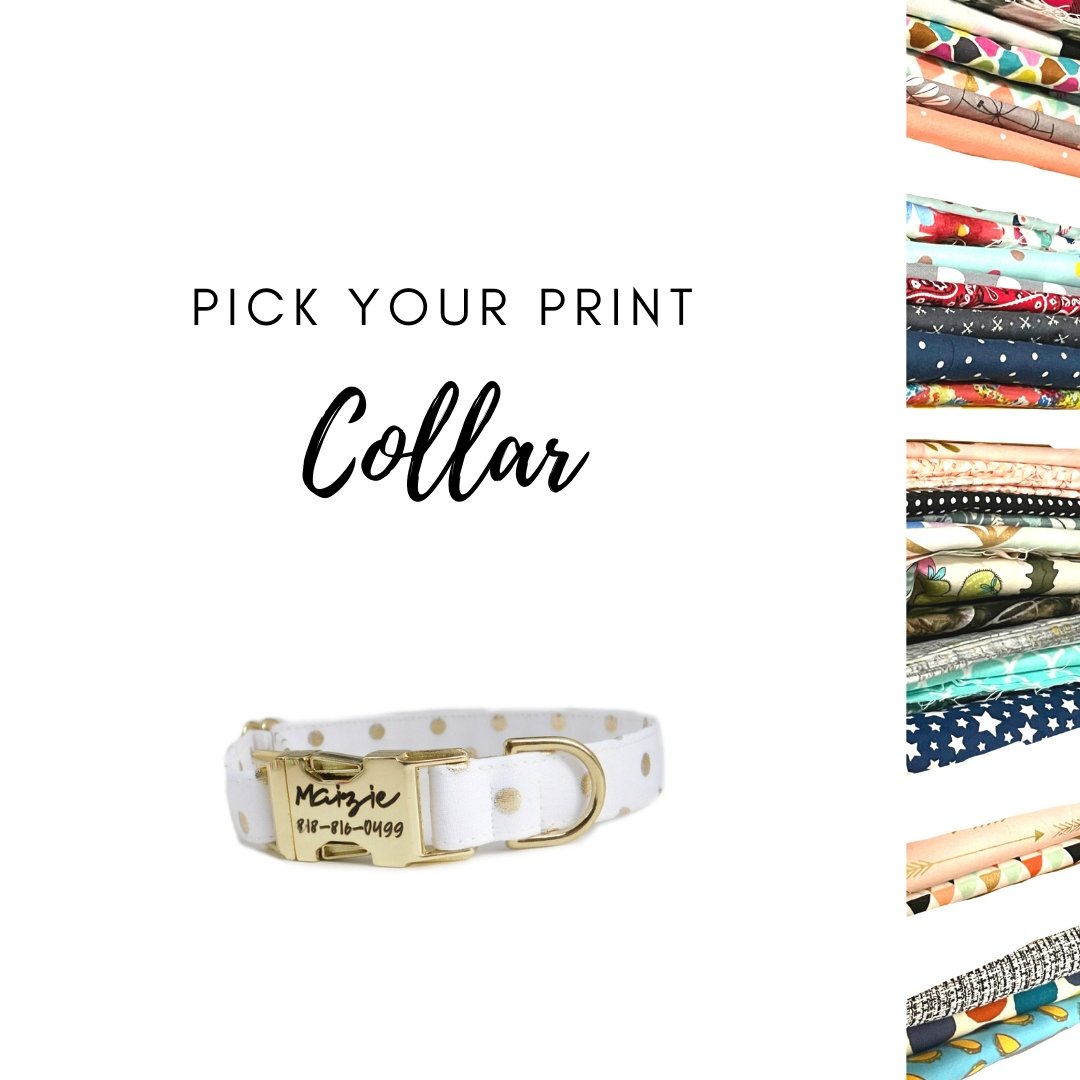 Pick Your Print- Fashion Fabric Personalized Dog Collar - Fabric Style - muttsnbones