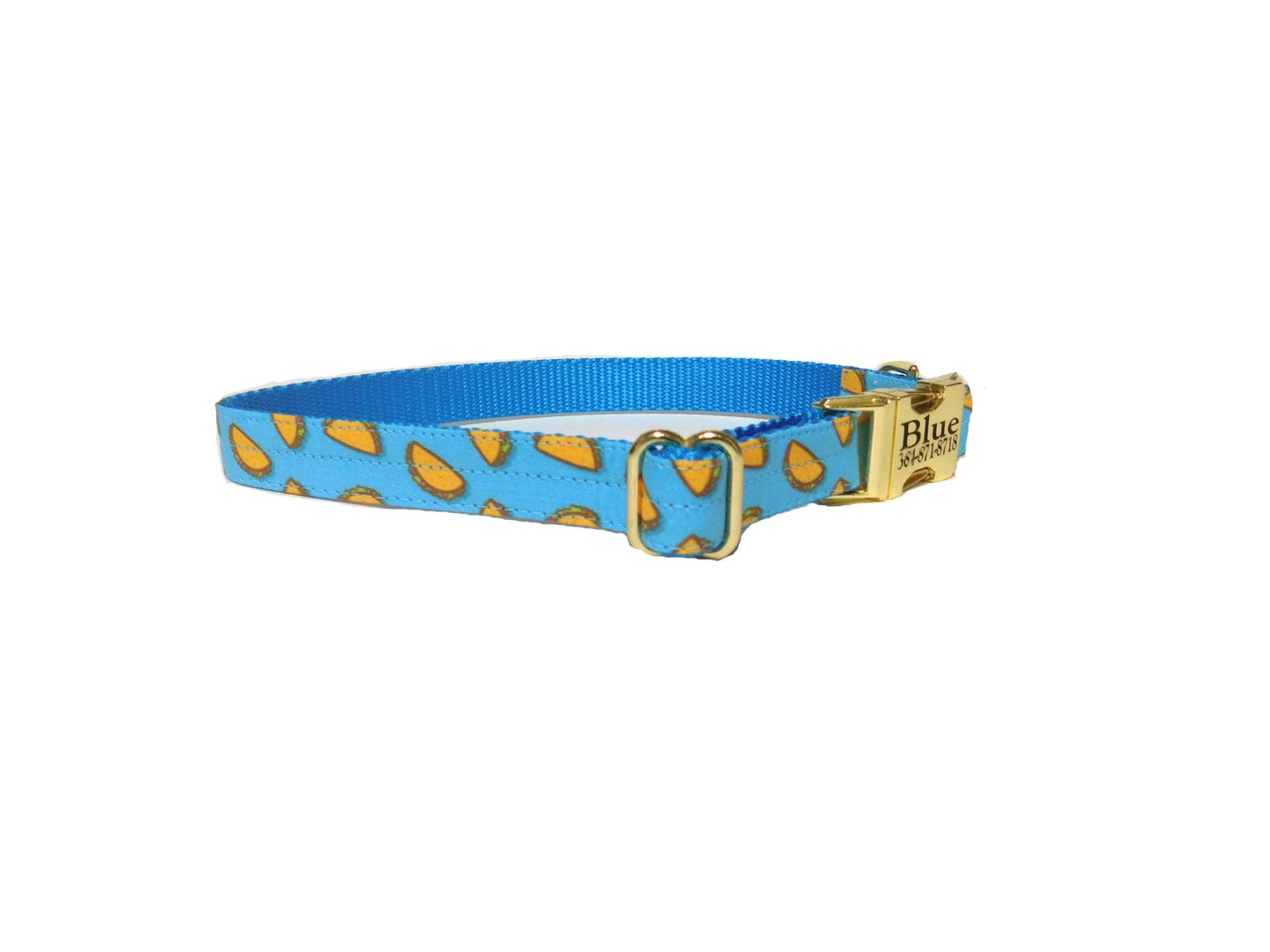Taco Tuesday Dog Collar on Blue Webbing - Fabric Style - muttsnbones